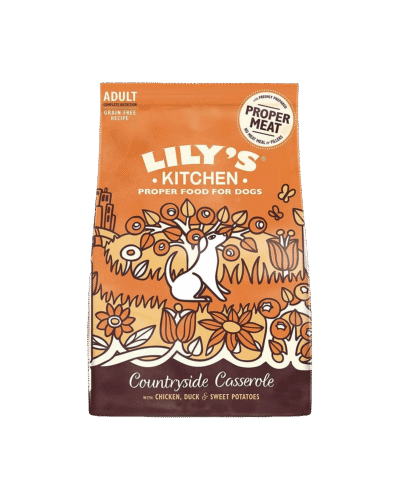 Adult Dry Dog Food